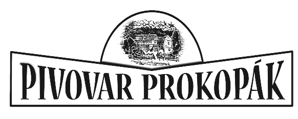 Primary Raster logo